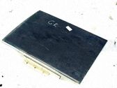 Rear door window glass