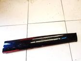 Front door trim (molding)