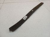 Front sill trim cover