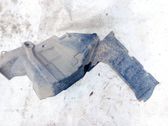 Unterfahrschutz Unterbodenschutz Motor