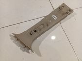 (B) pillar trim (top)