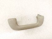 Front interior roof grab handle