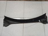 Moldura del limpia