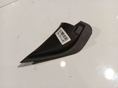 Other front door trim element