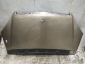 Engine bonnet/hood