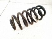 Muelle espiral trasero