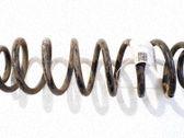 Muelle espiral trasero