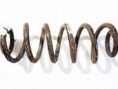 Muelle espiral trasero