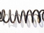 Muelle espiral trasero