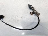 Sensor de petardeo del motor