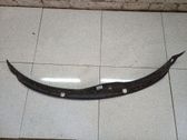 Moldura del limpia