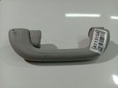 Asidero interior trasero