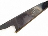Rear door glass trim molding