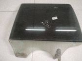 Rear door window glass