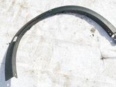 Moldura de la aleta delantera