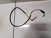 Sensor de temperatura del escape