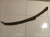 Moldura del limpia