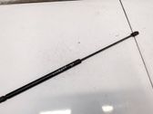 Gasdruckfeder Dämpfer Motorhaube