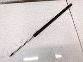 Tailgate/trunk strut/damper