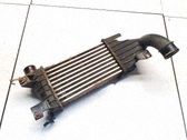 Intercooler radiator