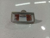 Front fender indicator light