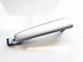 Manecilla externa puerta delantera