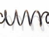 Muelle espiral trasero