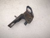 Rear door lower hinge
