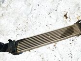 Chłodnica powietrza doładowującego / Intercooler