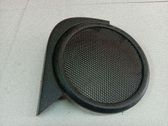 Moldura protectora del altavoz lateral