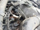 Inyector de combustible