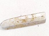 Fender trim (molding)