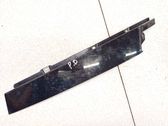 Moulure de vitre de la porte avant