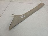 Verkleidung C-Säule