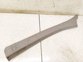 (C) pillar trim