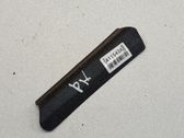 Other front door trim element
