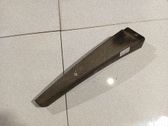 Other front door trim element