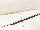 Rear door glass trim molding