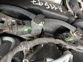 Inyector de combustible