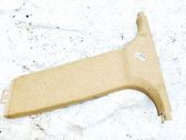 Pilar (B) (superior)