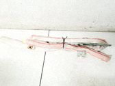 Roof airbag