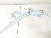 Roof airbag