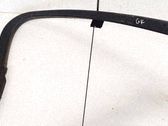 Rear door glass trim molding