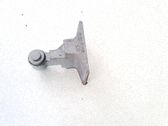 Rear door lower hinge