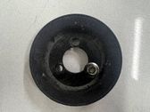 Polea de la bomba de agua