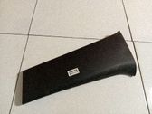 Pilar (B) (superior)