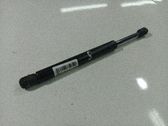Tailgate/trunk strut/damper