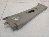 (B) pillar trim (top)