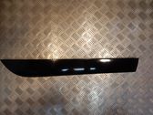 Listón embellecedor de la puerta delantera (moldura)