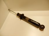 Stoßdämpfer hinten